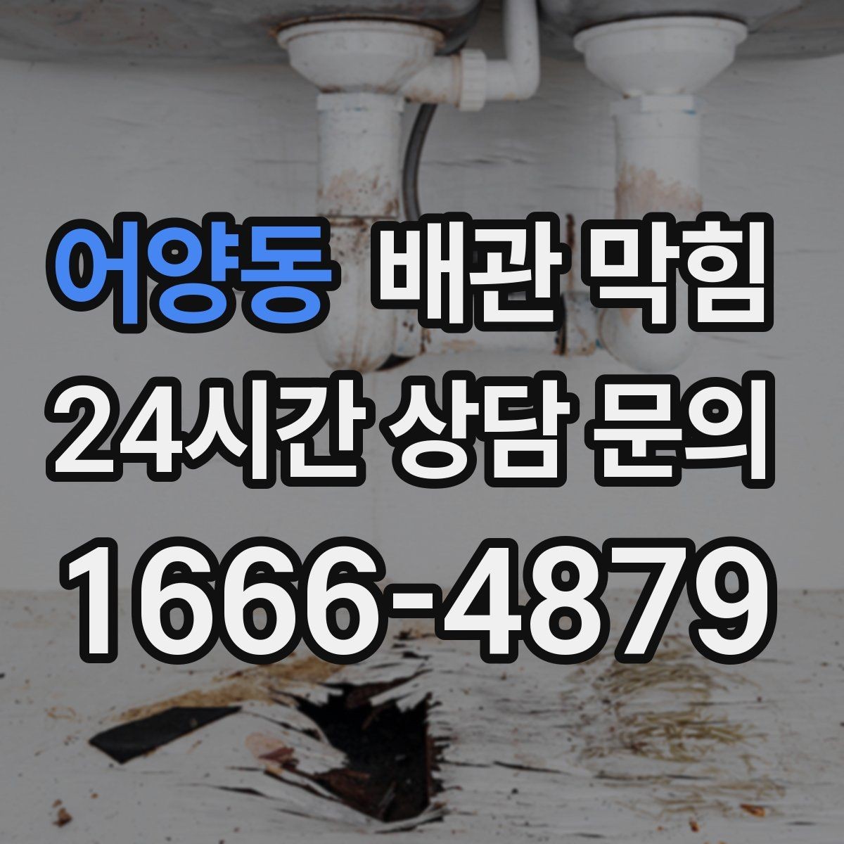 어양동 배관 막힘 국물 기름을 자주 흘리면 생기는 문제