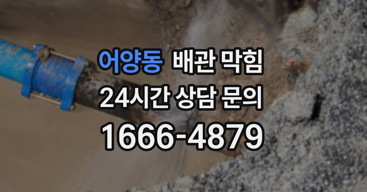 어양동 배관 막힘