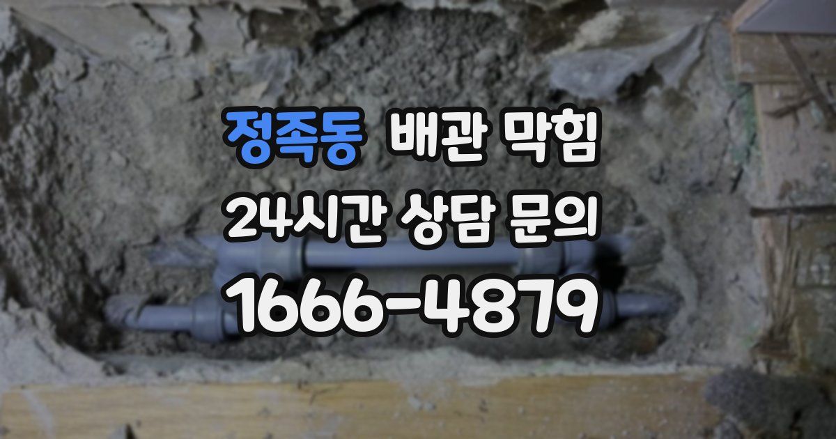 정족동 배관 막힘