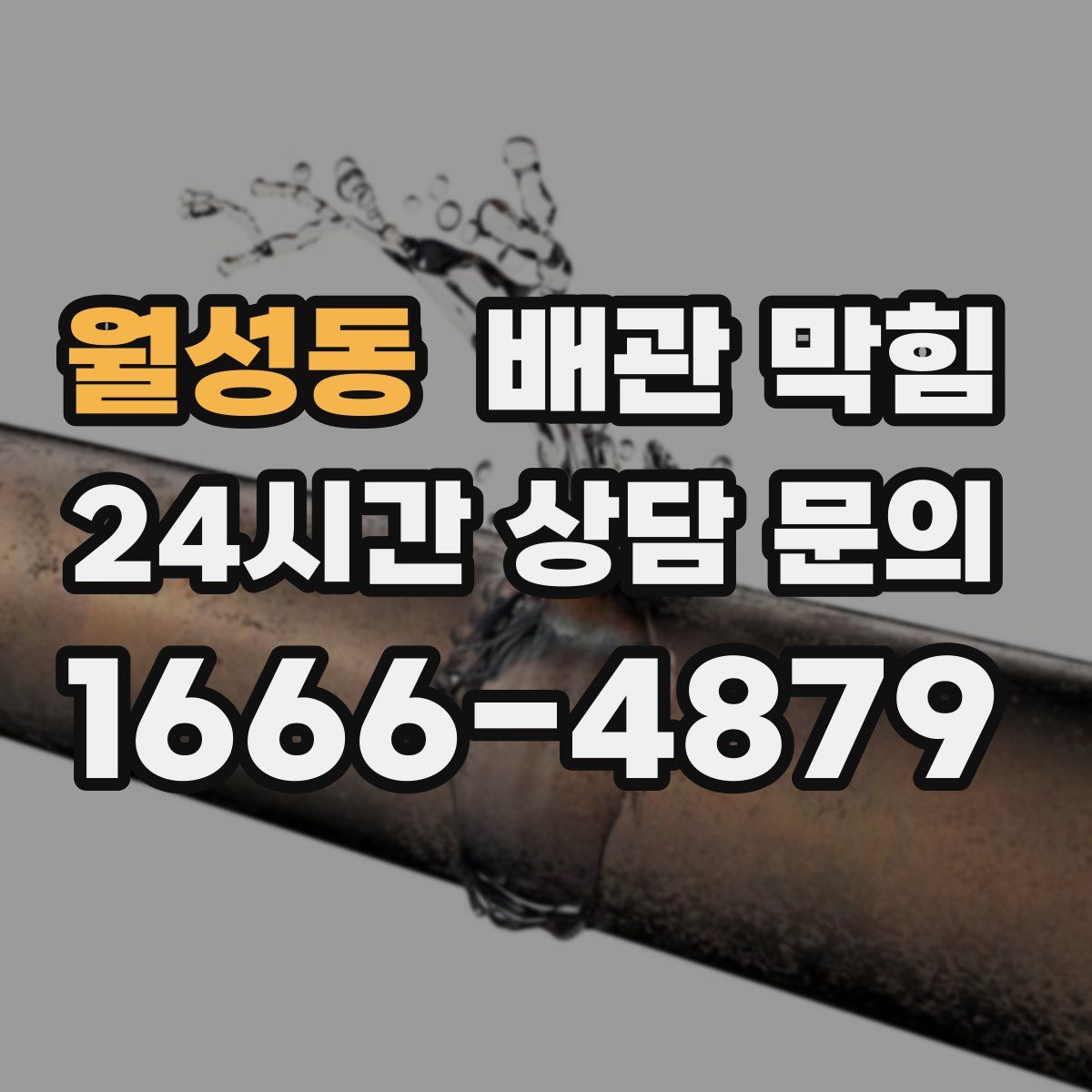 월성동 배관 막힘