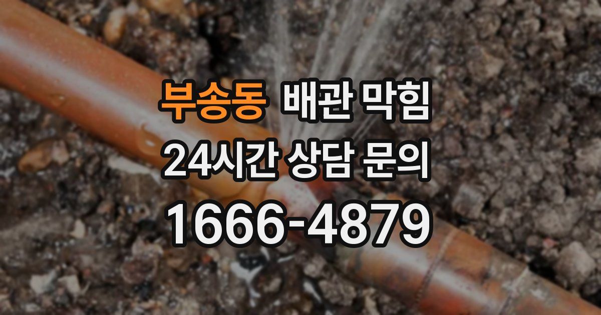 부송동 배관 막힘