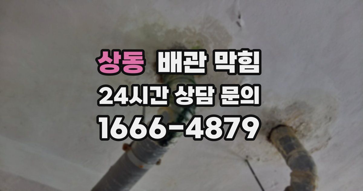 상동 배관 막힘