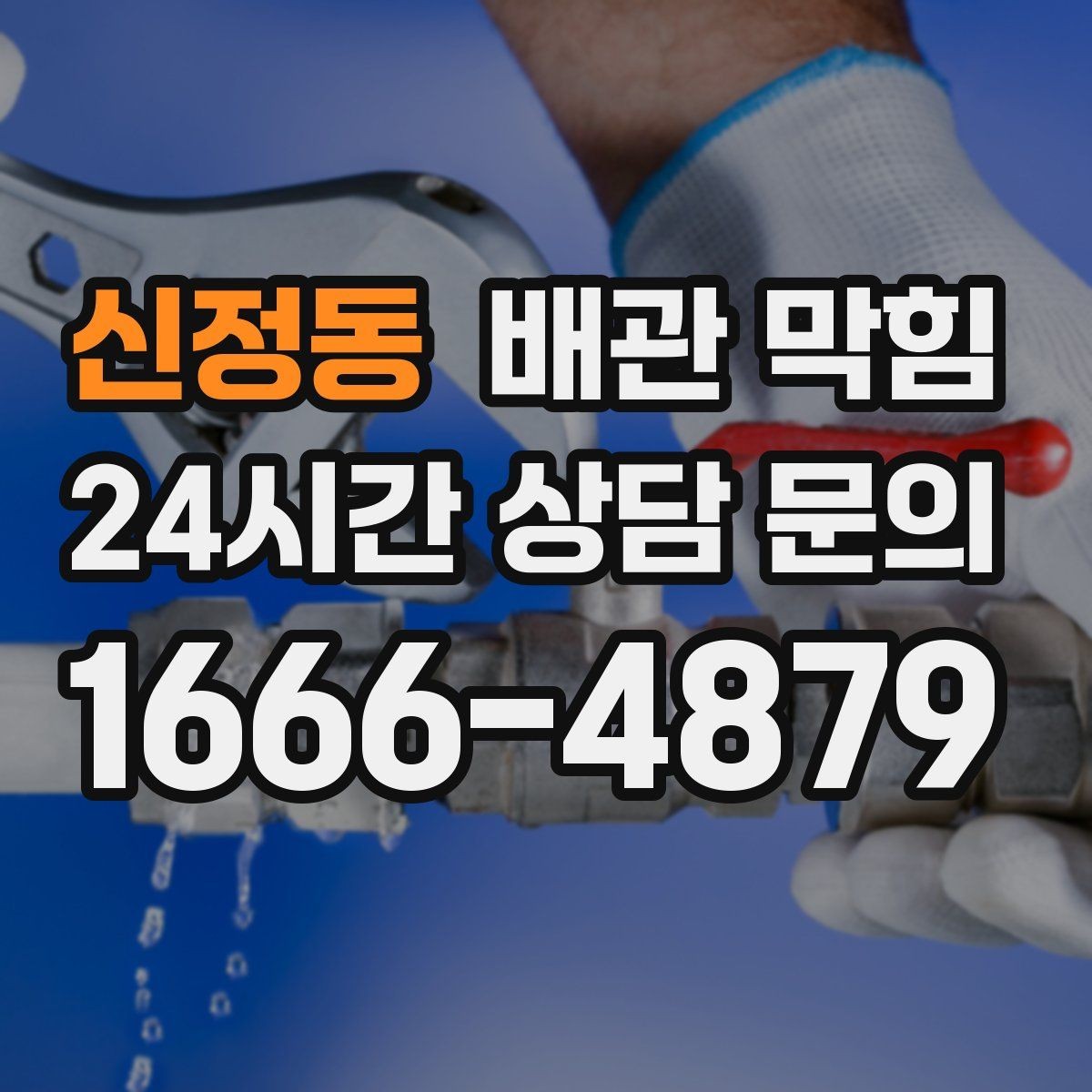 신정동 배관 막힘 배수구 커버 아래가 끈적하면 위험 신호