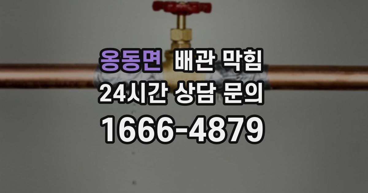 옹동면 배관 막힘