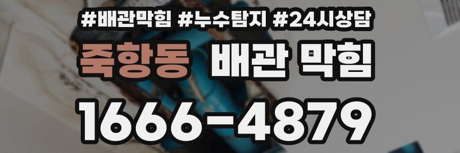 죽항동 배관 막힘