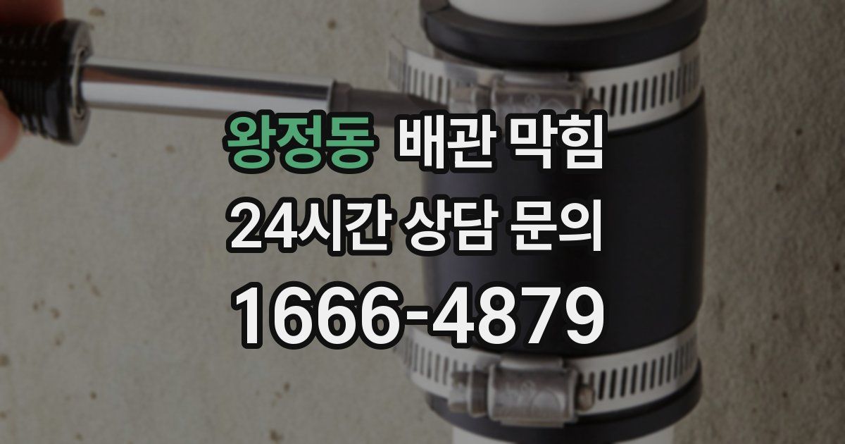 왕정동 배관 막힘