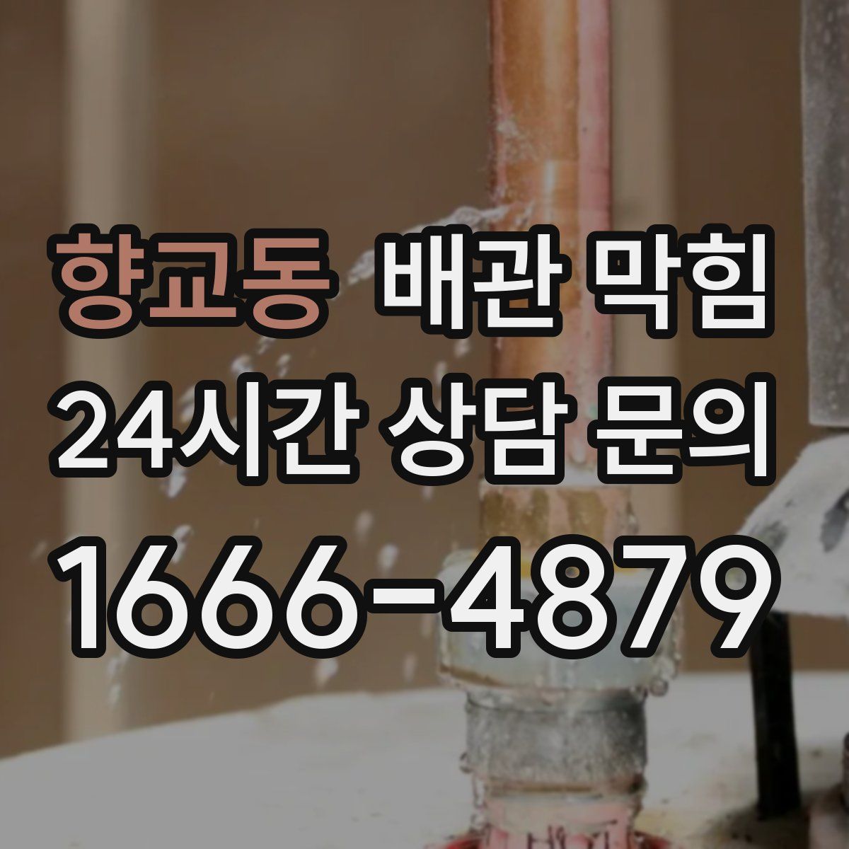 향교동 배관 막힘