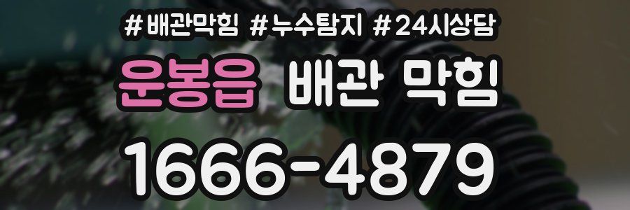 운봉읍 배관 막힘
