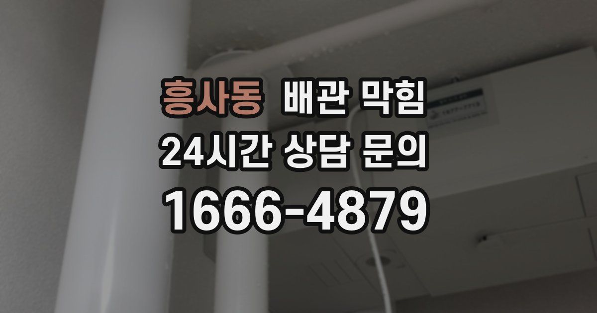 흥사동 배관 막힘