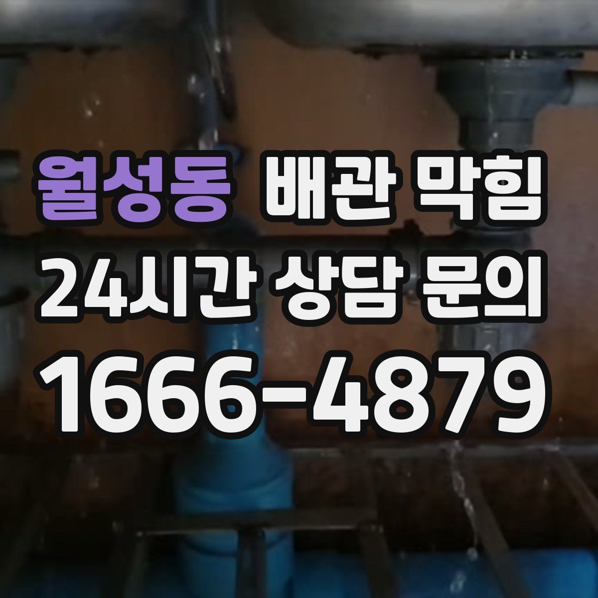 월성동 배관 막힘