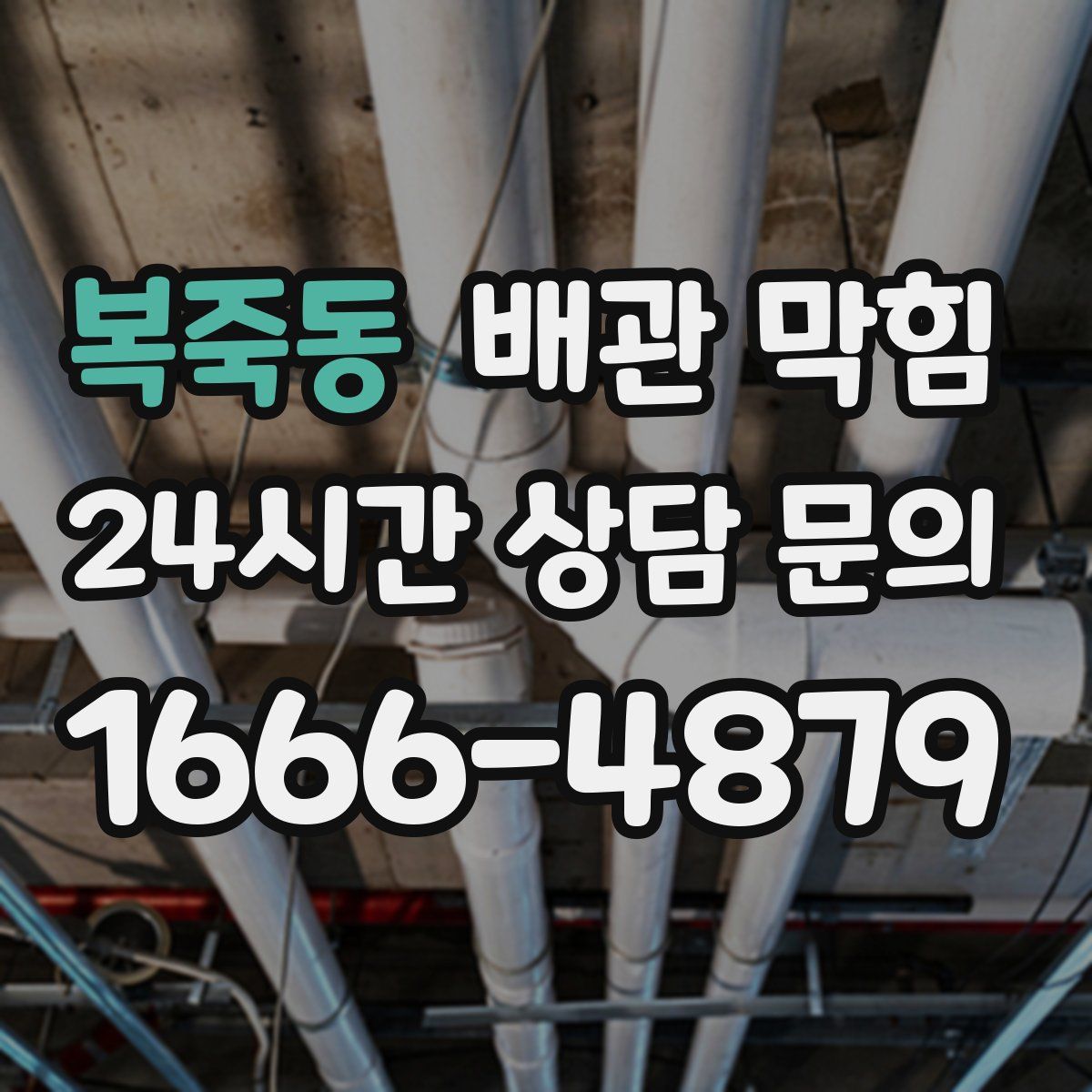 복죽동 배관 막힘