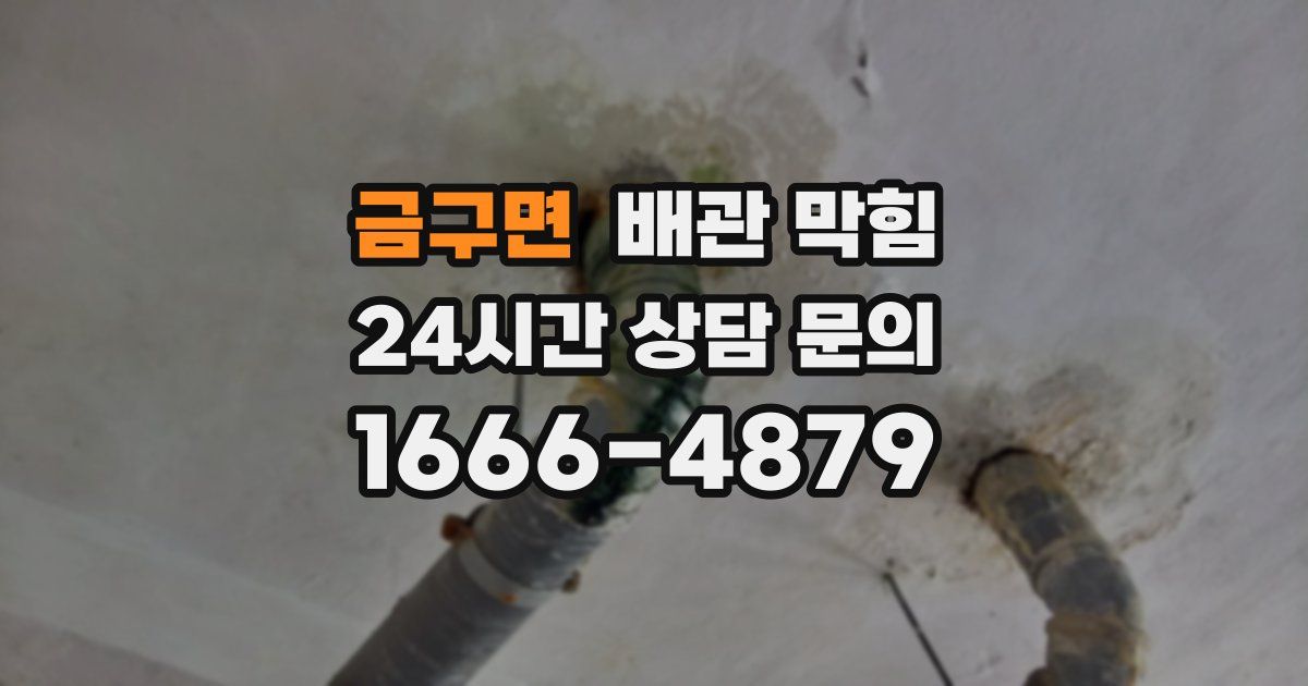 금구면 배관 막힘