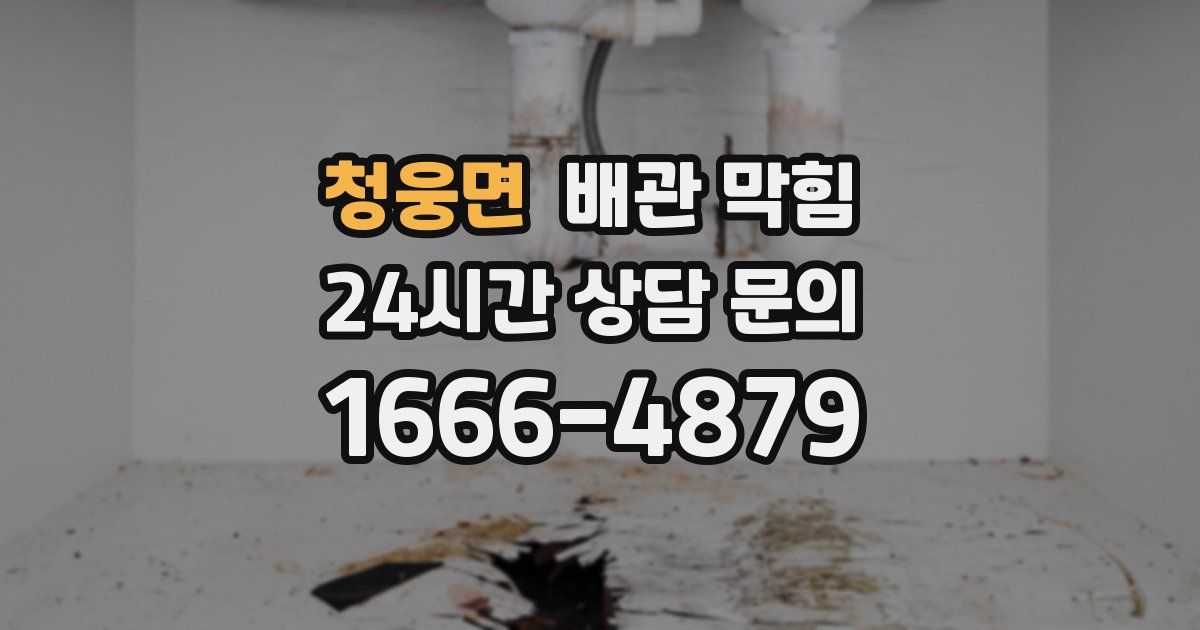 청웅면 배관 막힘