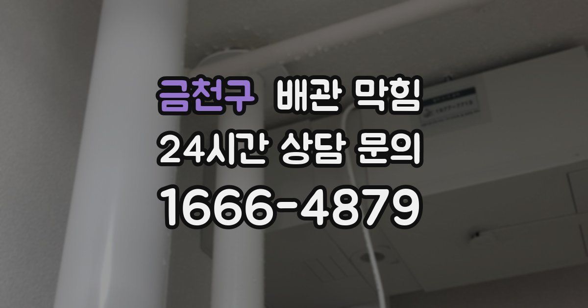 금천구 배관 막힘