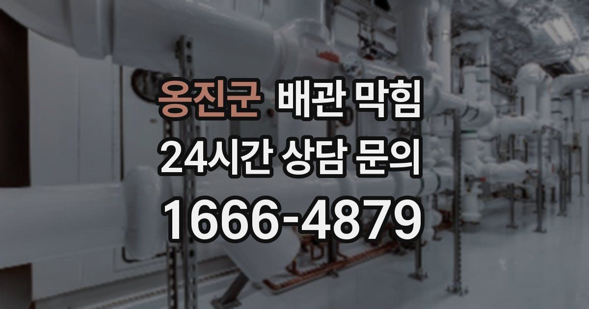 옹진군 배관 막힘