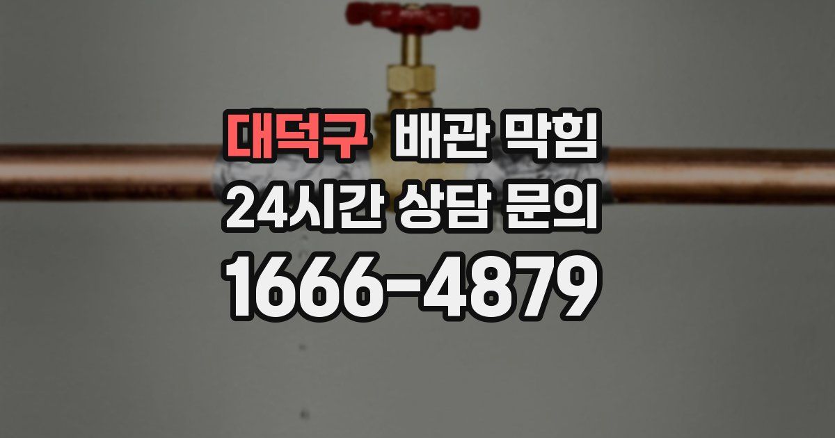 대덕구 배관 막힘