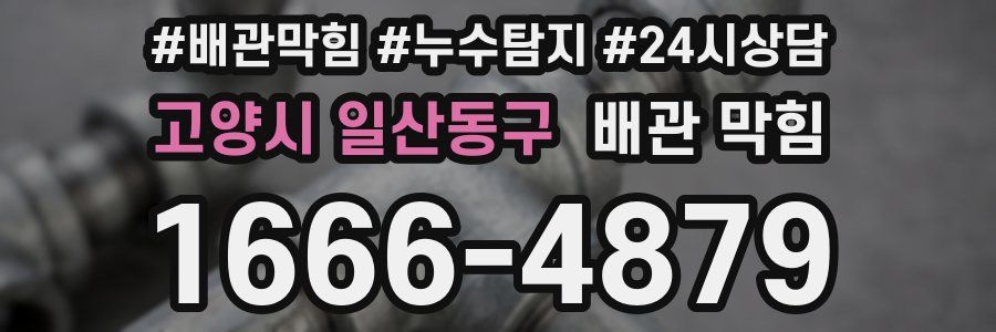 고양시 일산동구 배관 막힘