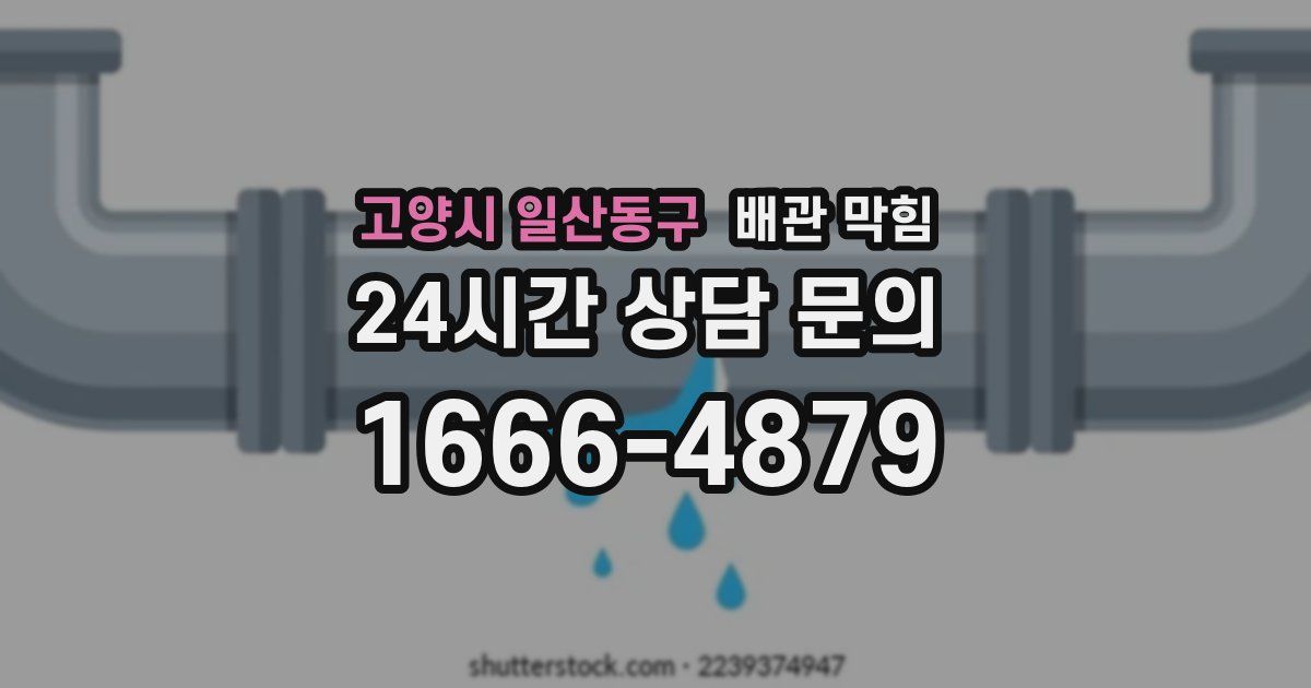 고양시 일산동구 배관 막힘