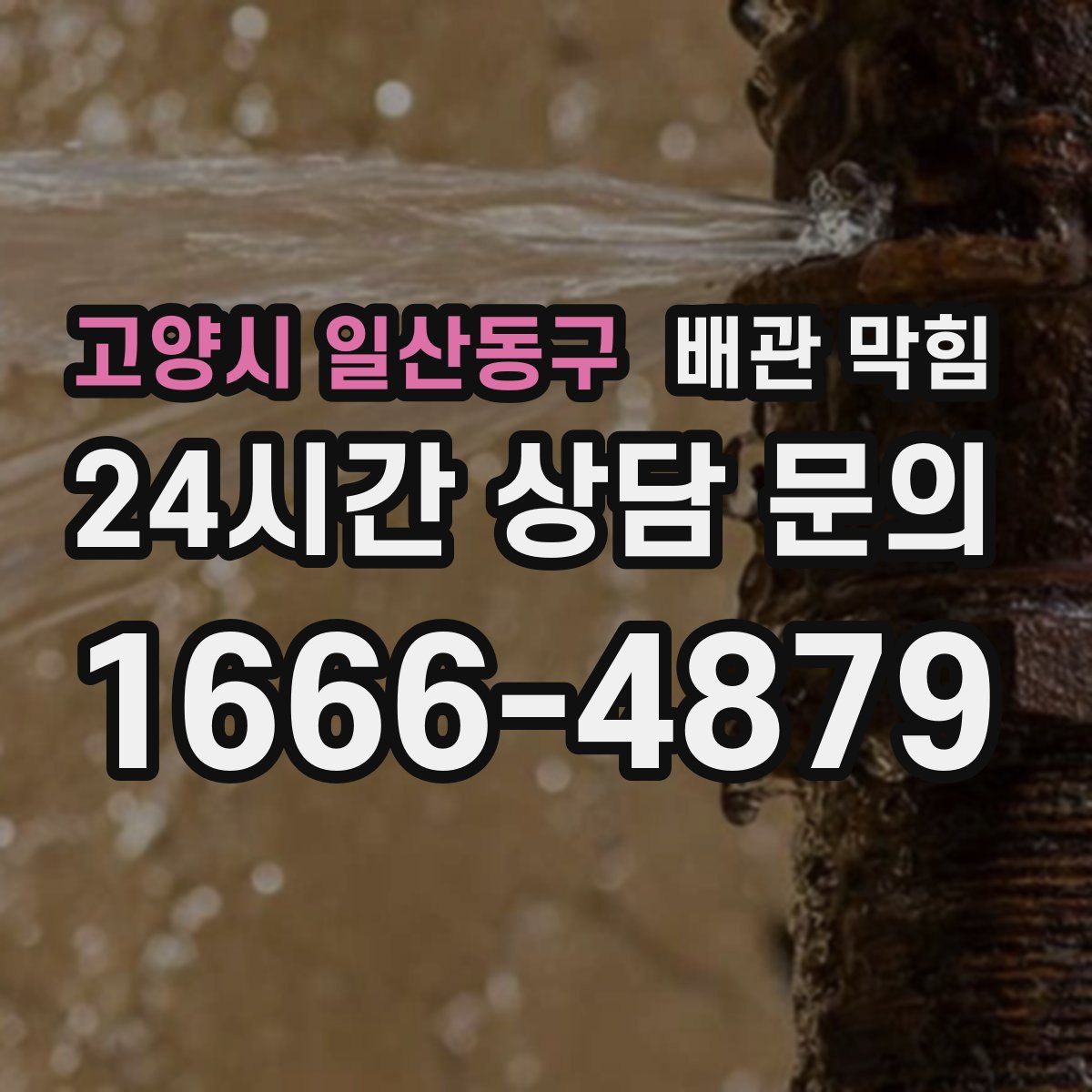 고양시 일산동구 배관 막힘