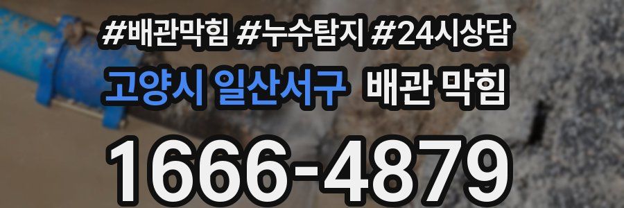 고양시 일산서구 배관 막힘