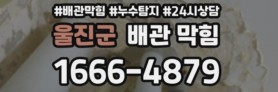 울진군 배관 막힘