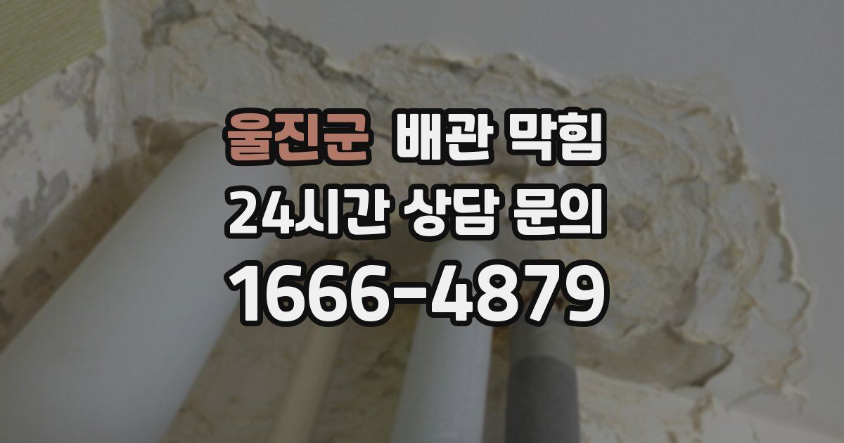 울진군 배관 막힘