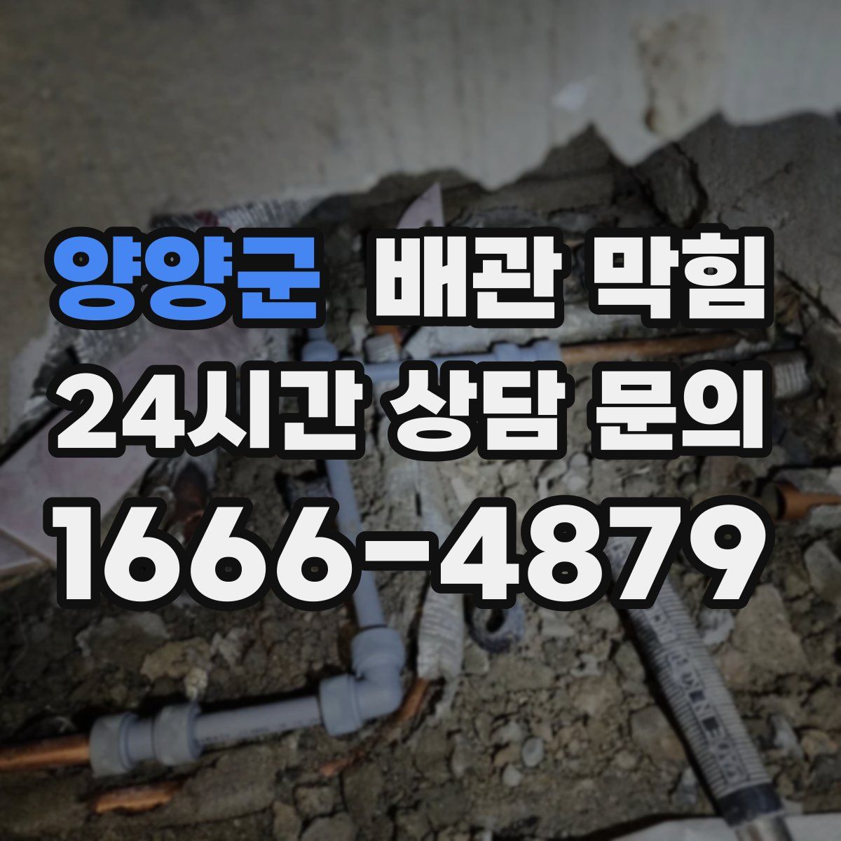 양양군 배관 막힘