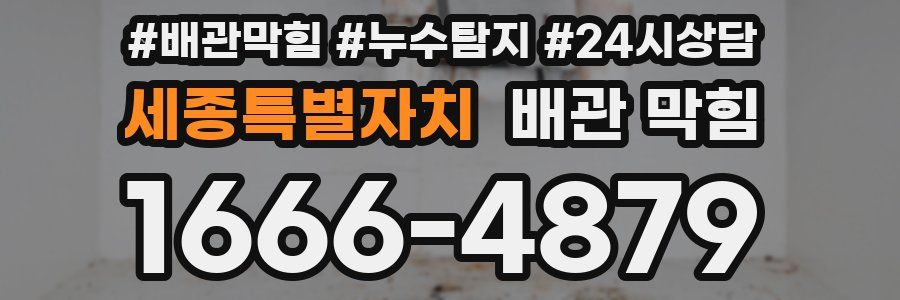 세종특별자치 배관 막힘
