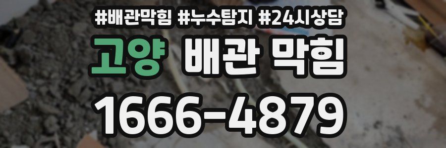 고양 배관 막힘