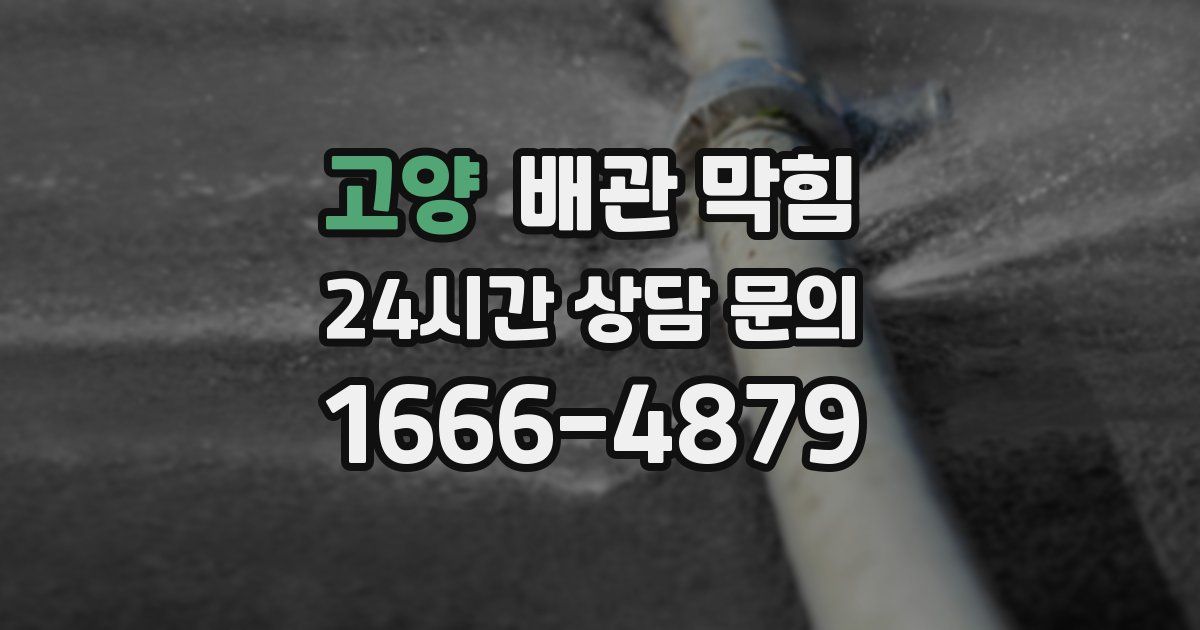 고양 배관 막힘