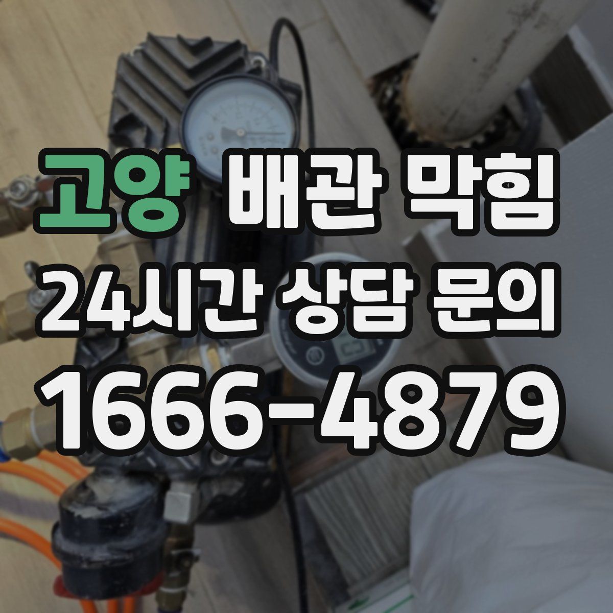 고양 배관 막힘