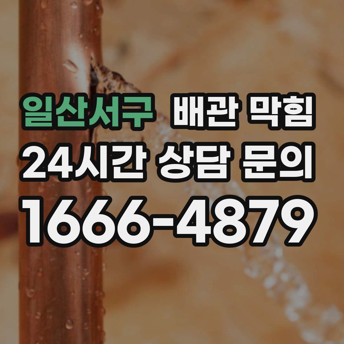 일산서구 배관 막힘