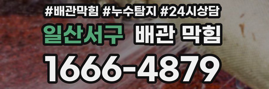 일산서구 배관 막힘