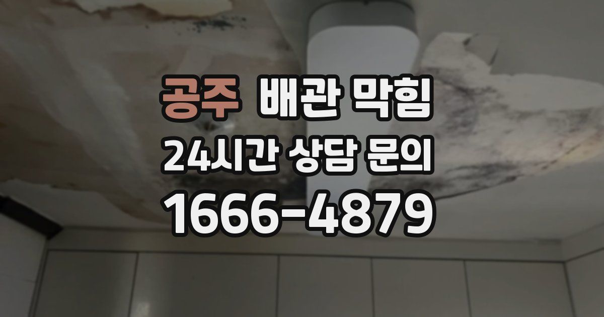 공주 배관 막힘