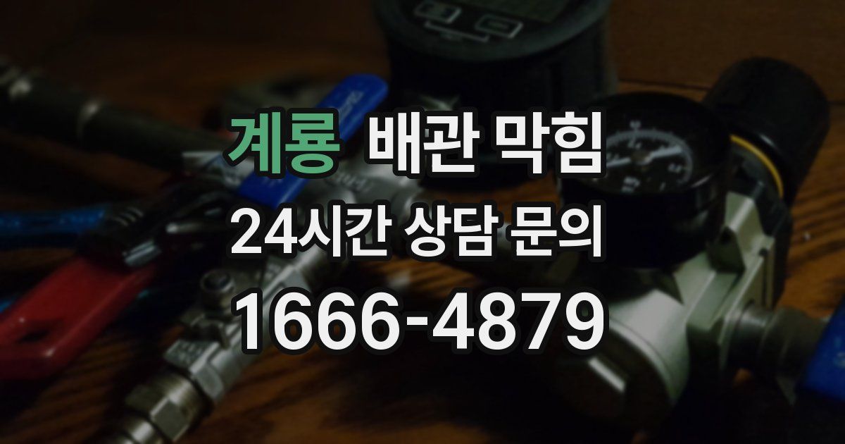 계룡 배관 막힘