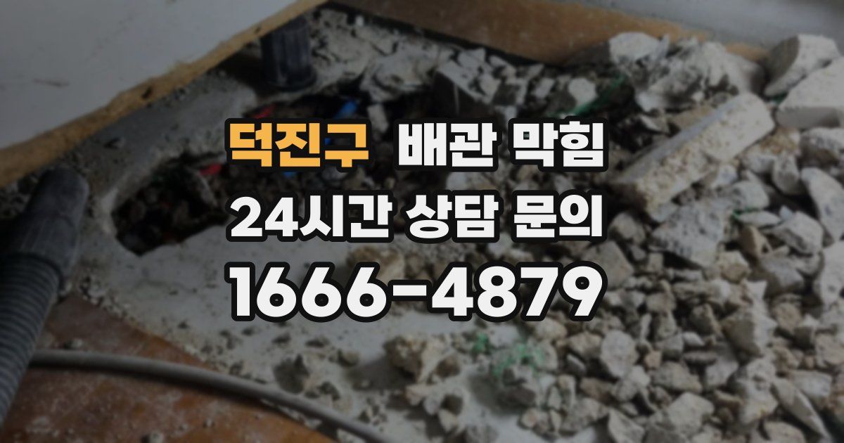 덕진구 배관 막힘
