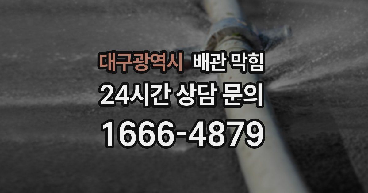 대구광역시 배관 막힘
