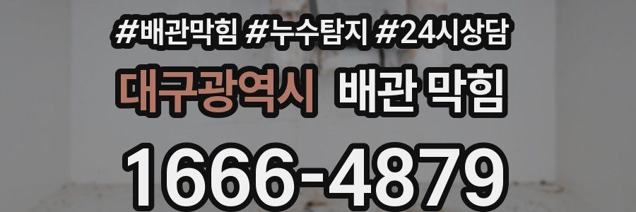 대구광역시 배관 막힘