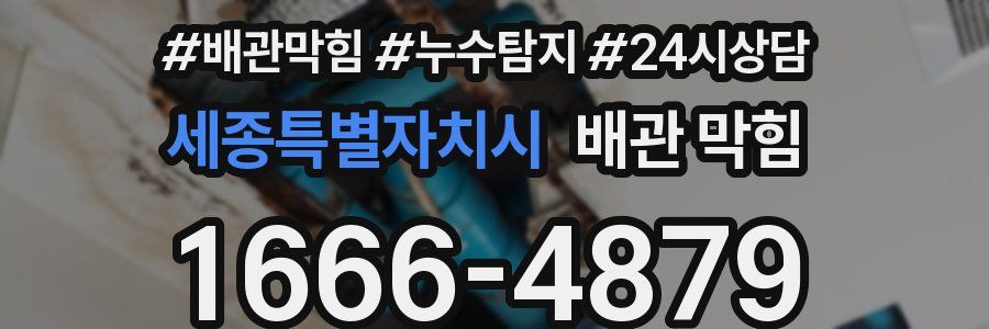 세종특별자치시 배관 막힘