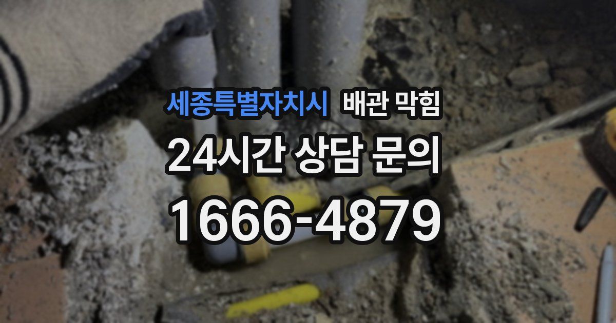 세종특별자치시 배관 막힘