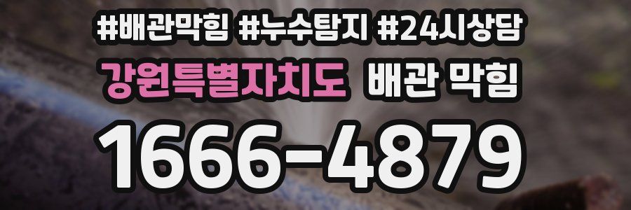 강원특별자치도 배관 막힘