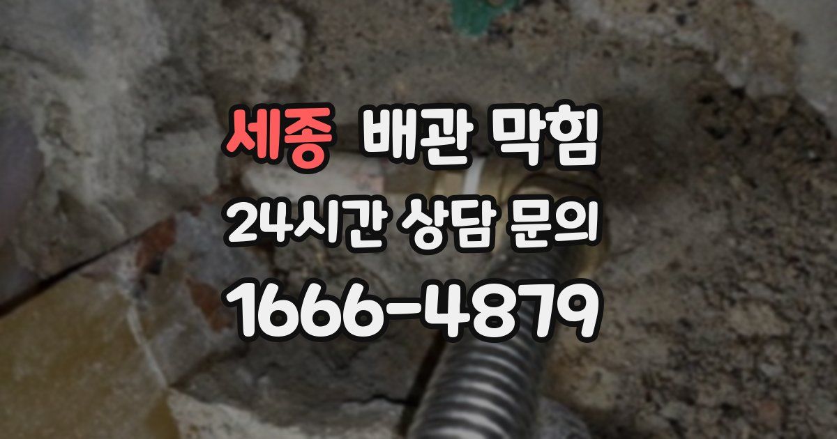 세종 배관 막힘