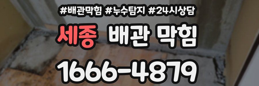 세종 배관 막힘