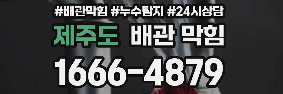 제주도 배관 막힘