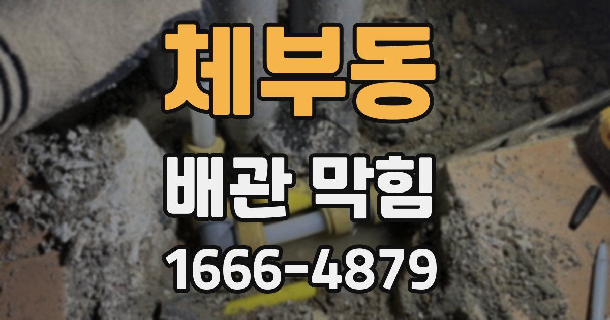 체부동 배관 막힘