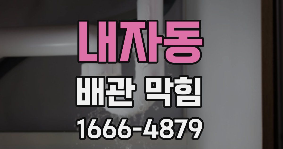 내자동 배관 막힘