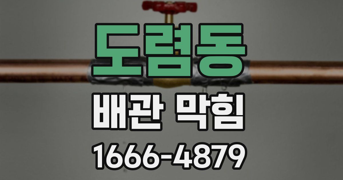 도렴동 배관 막힘
