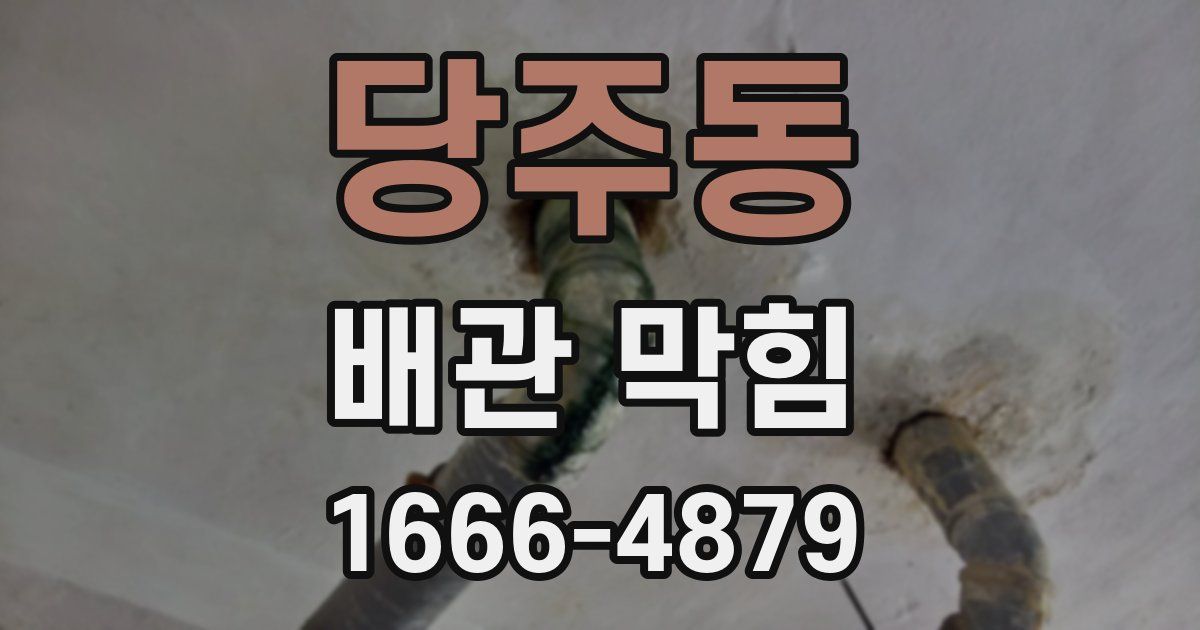 당주동 배관 막힘