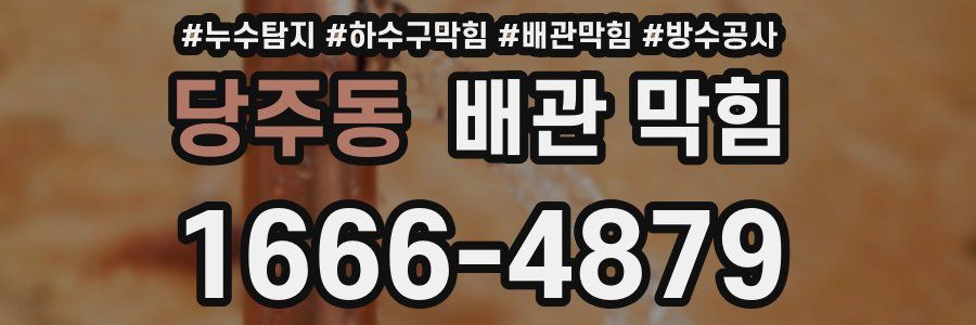 당주동 배관 막힘