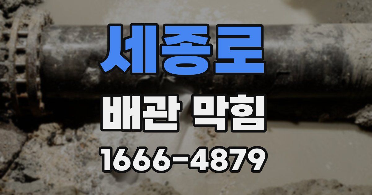 세종로 배관 막힘
